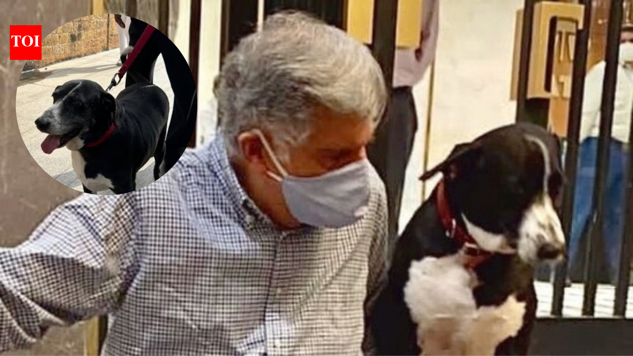 Ratan Tata’s beloved pet dog 'Goa' survives car accident outside Bombay House | Mumbai News