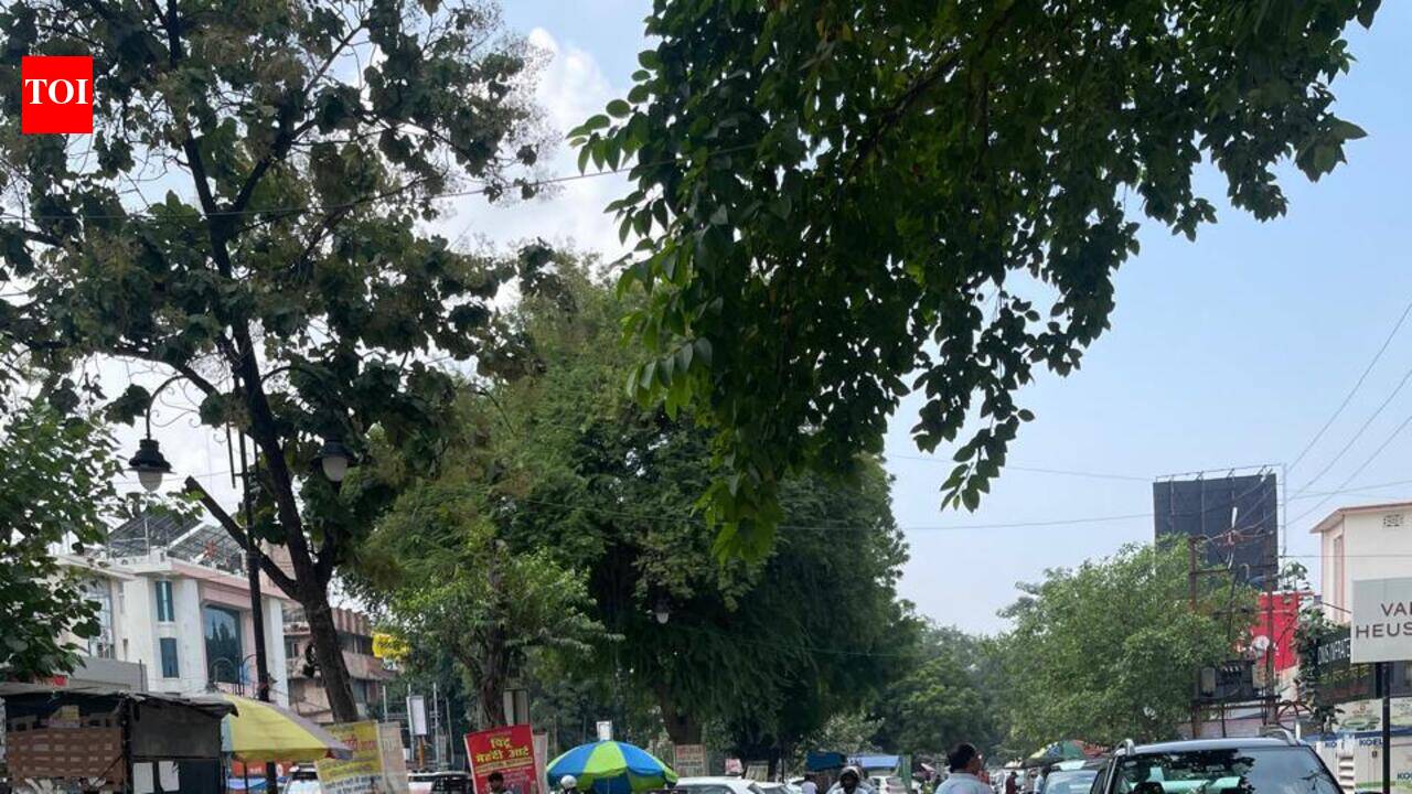 Regulated parking resumes on MG Marg, SP Marg after 5 years | Prayagraj News