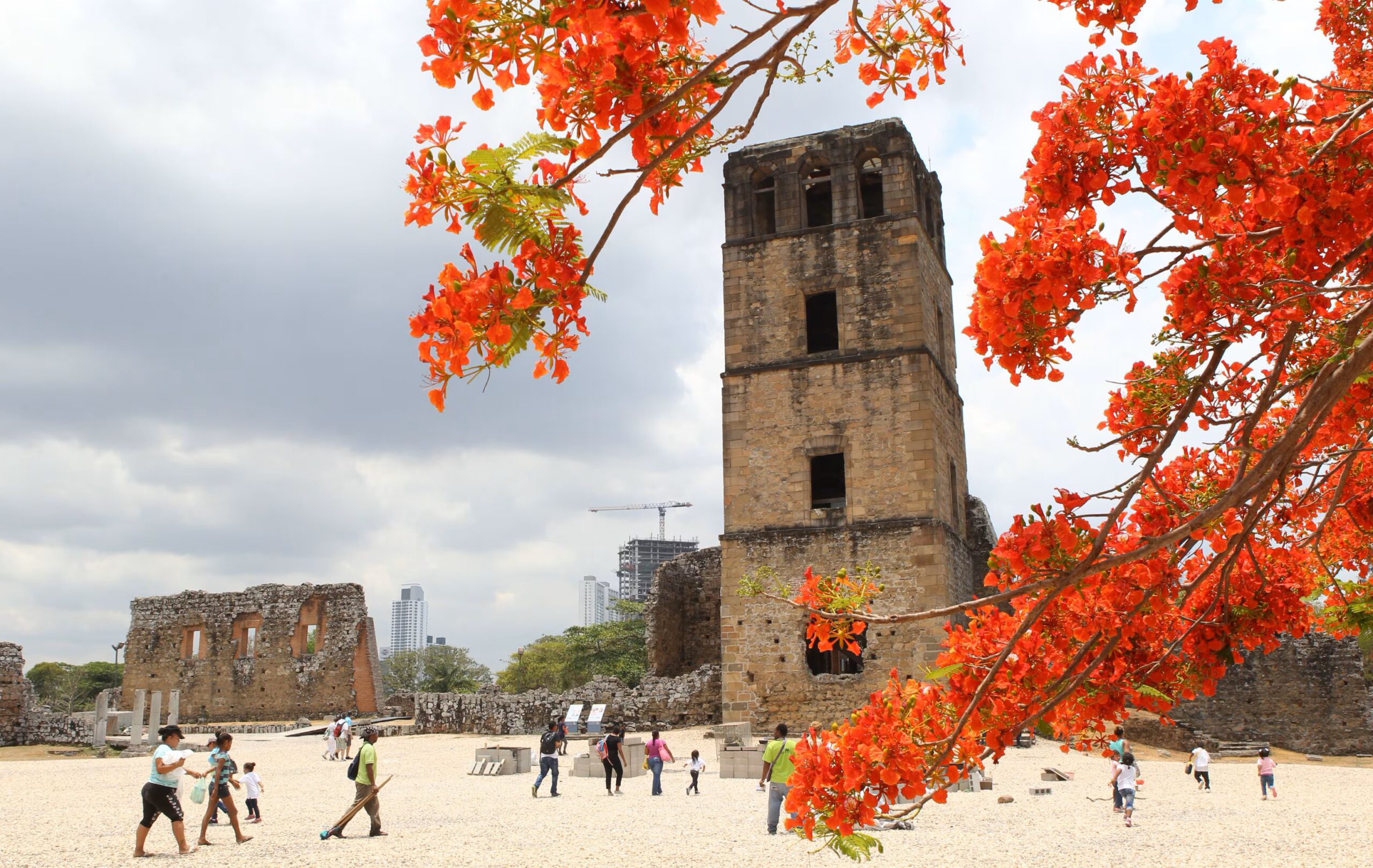 Rising Demand for Local Culture, Nature and Smaller Destinations Tripadvisor Data Shows.