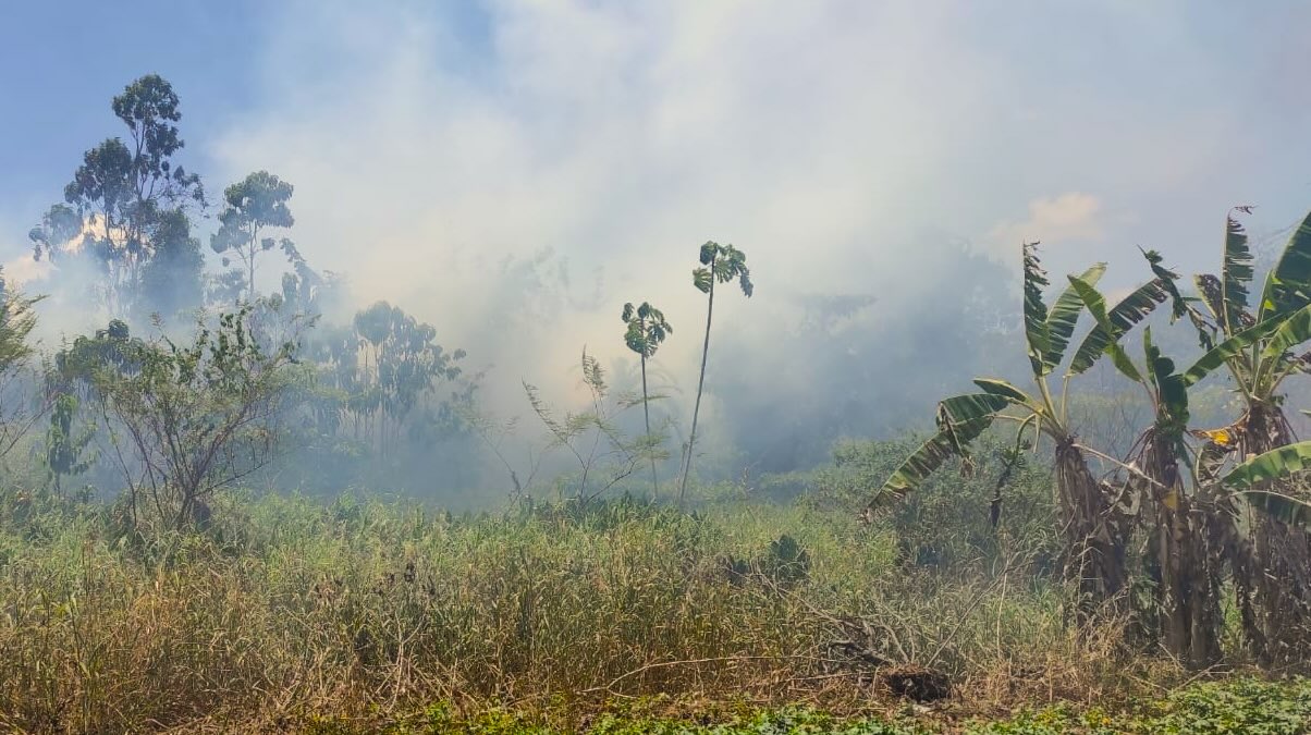 Rook bosbrand Commewijne bereikt Nieuw-Amsterdam, mogelijk ook richting Paramaribo