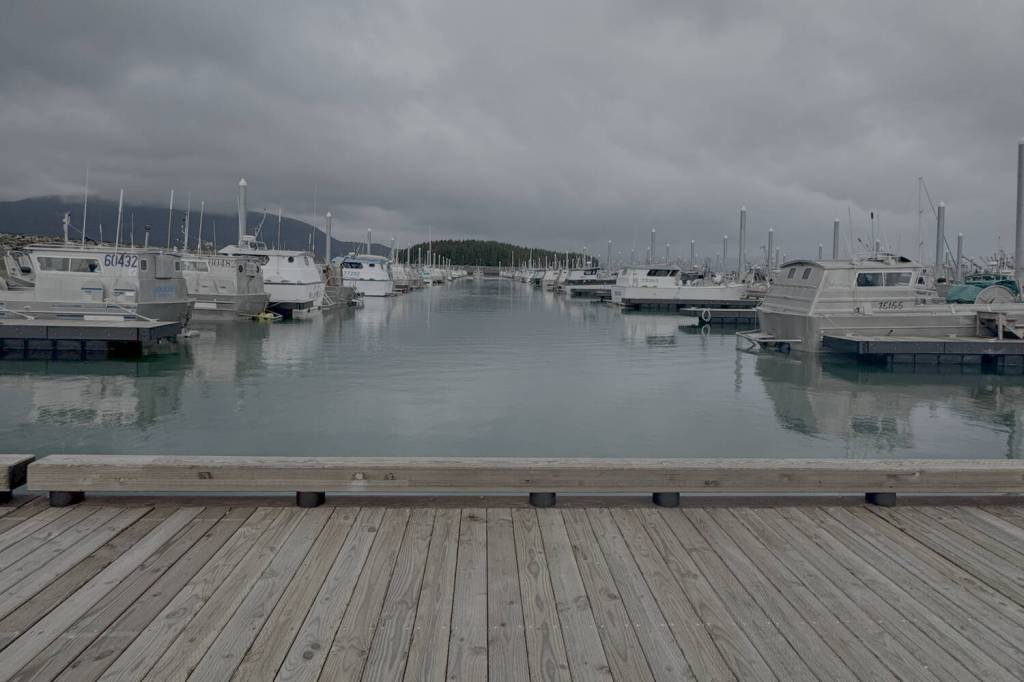 Some 60 Alaska fisheries organizations dedicated financial or logistical support to the fisherman-led get-out-the-vote effort Dock the Vote. (Courtesy Dock the Vote website)