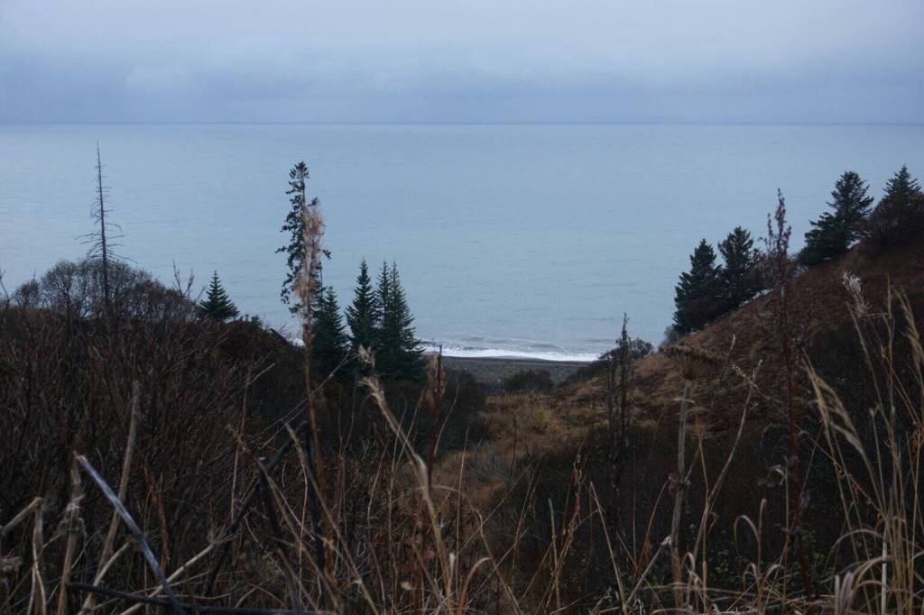 Waves roll in on a Cook Inlet beach north of Anchor Point on Oct. 23, 2025. The Trump administration is planning a March oil and gas lease sale in federal waters beyond the shoreline. (Photo by Yereth Rosen/Alaska Beacon)