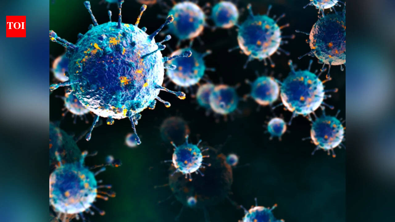 Shamonda Virus: Shamonda virus detected in human for first time in France; patient dies