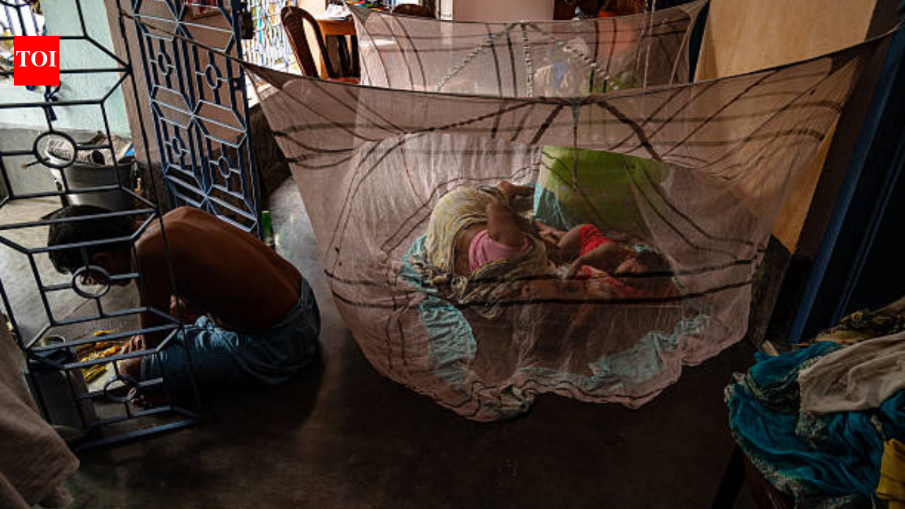 Since 2004, Bill Gates has sent millions of anti-malaria nets to Africa, but the donated gear has been devastating local waters for years
