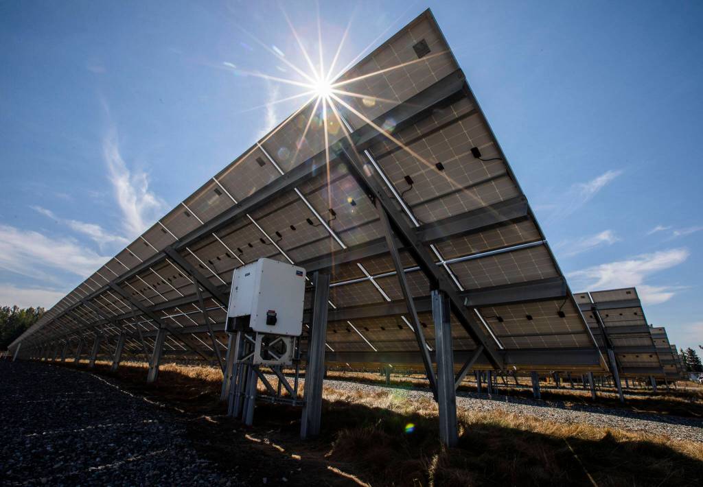 The sun shines on the Snohomish PUD’s Arlington Microgrid on Aug. 17, 2023, in Arlington, Washington. (Olivia Vanni / The Herald)