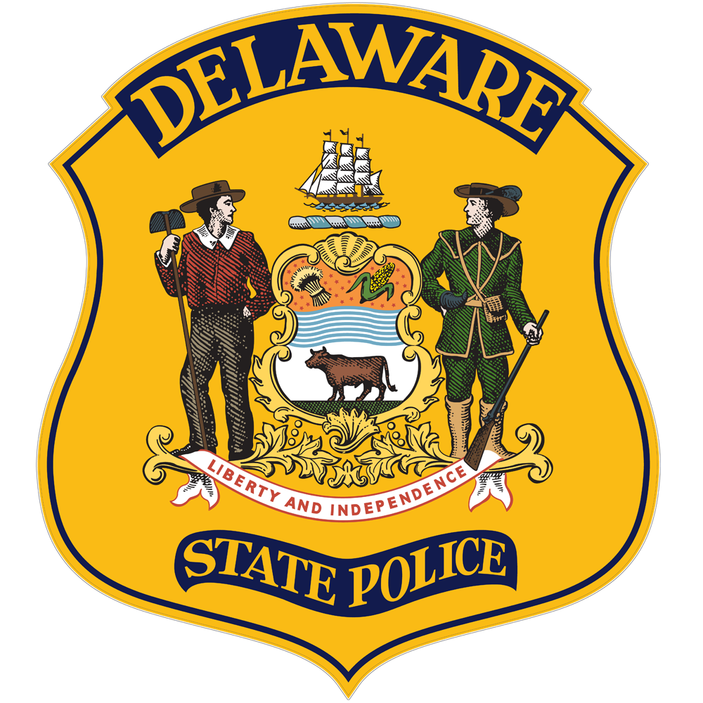 dsp badge 1