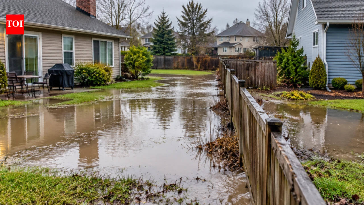 Two Michigan neighbours spent years fighting over water flowing across their land; a jury awarded $85,000 in damages to one side and $91,250 to the other, and an appeals court upheld both awards