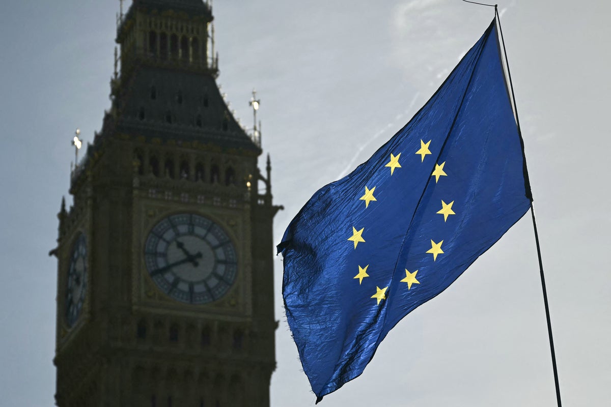 UK could rejoin EU ‘within months’ with ‘Switzerland plus’ deal, MEP says