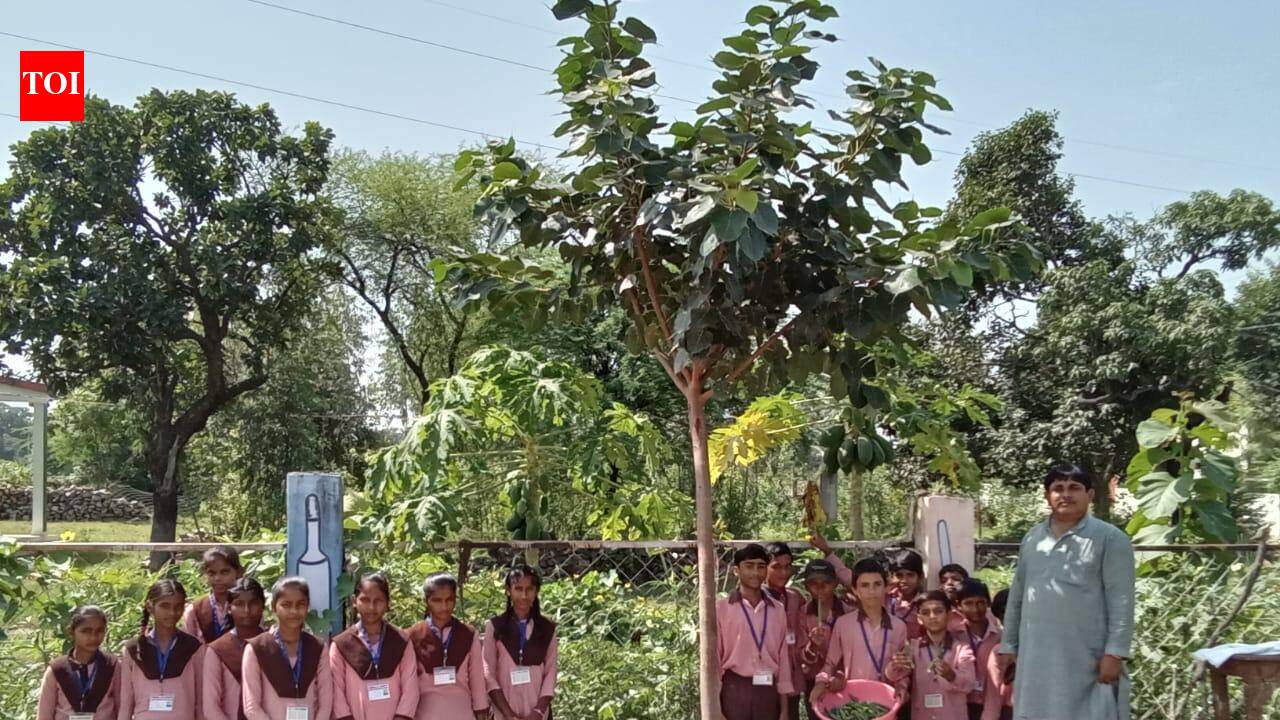 UP schools launch ‘Nutrition Gardens’ to boost midday meals | Prayagraj News