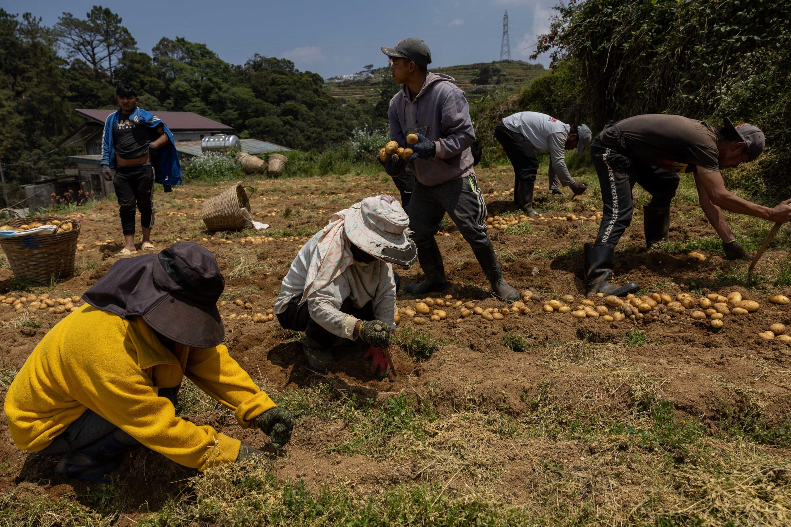 Unemployment eases to 5.3% in August 2026 as agriculture adds jobs