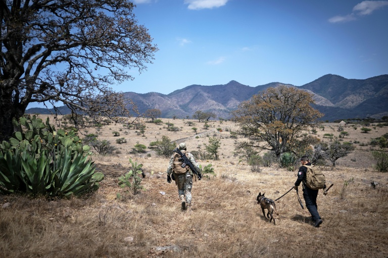 Using AI to help find Mexico's legions of missing children