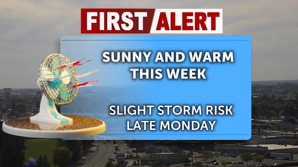 Warm and sunny this week