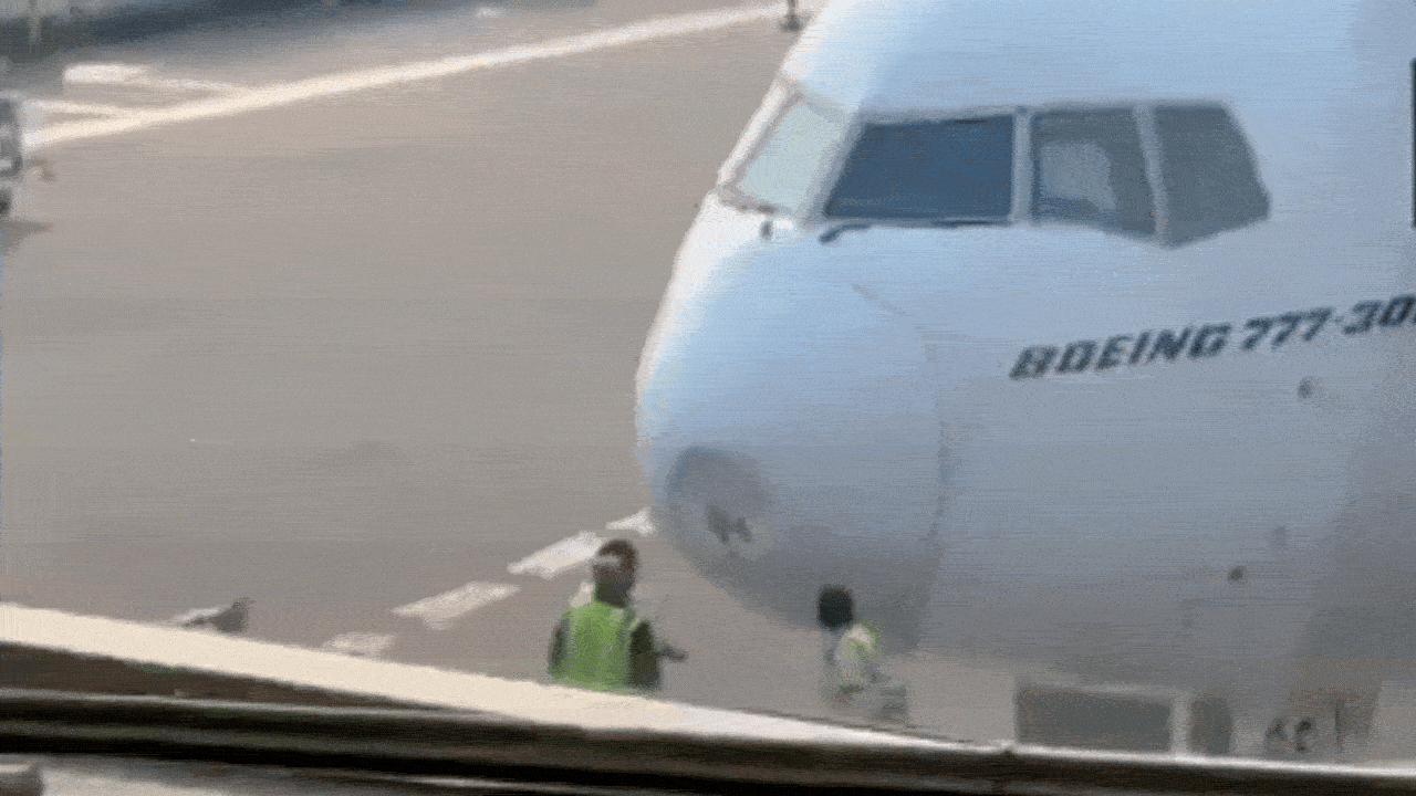 Watch: Bird strike damages Emirates aircraft in Delhi, flight delayed | India News