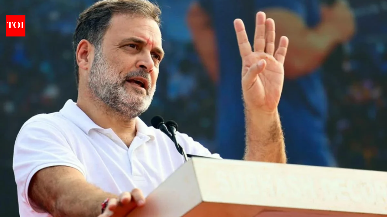 'We don't want a fight': Delhi traders' body writes to Rahul Gandhi again over November 1 rally | India News