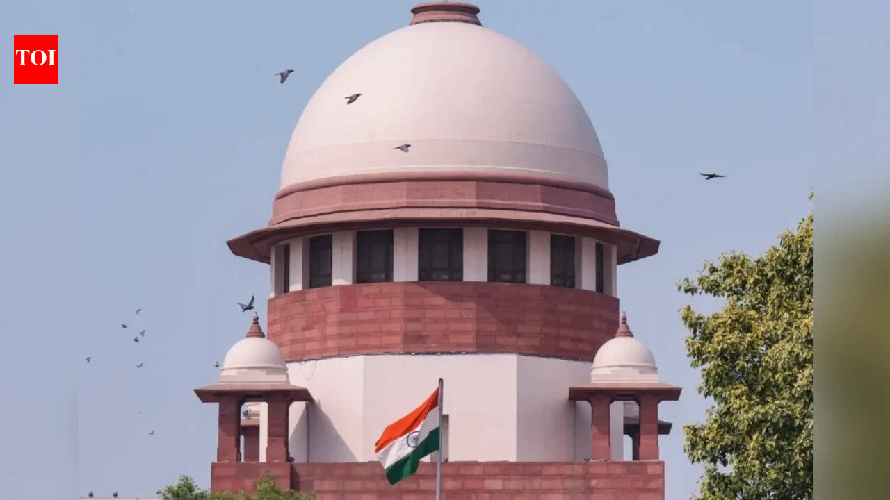Why are uninsured vehicles not part of crash relief scheme? Supreme Court | India News