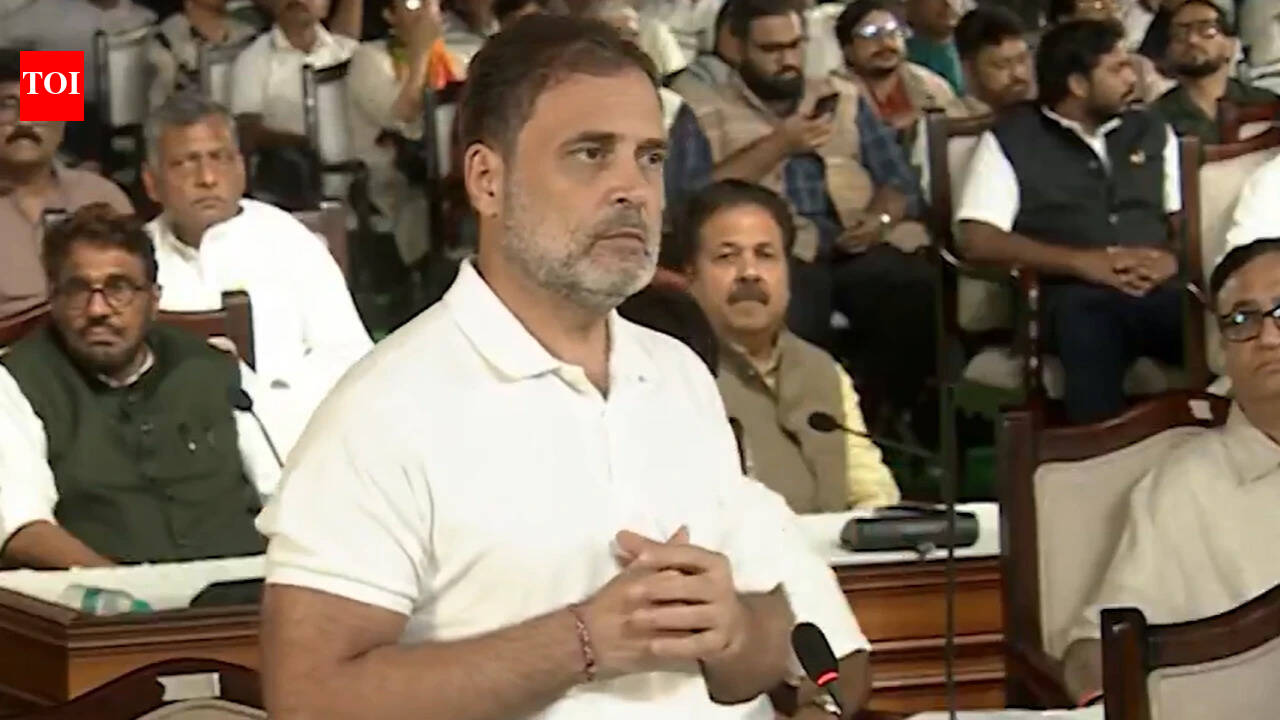 'Won't forgive and forget': Rahul Gandhi at 'CEC impeachment' event - top quotes | India News