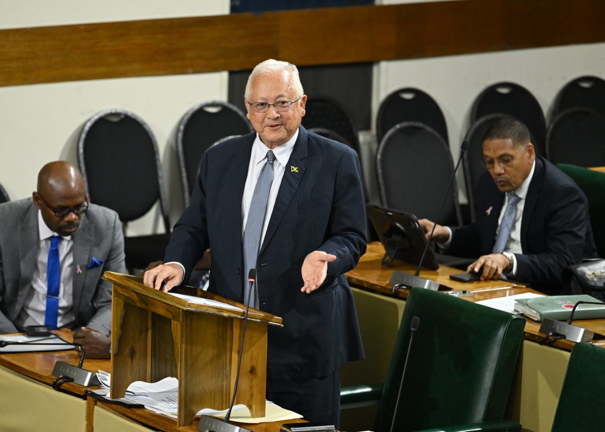 Work to review Firearms Act underway