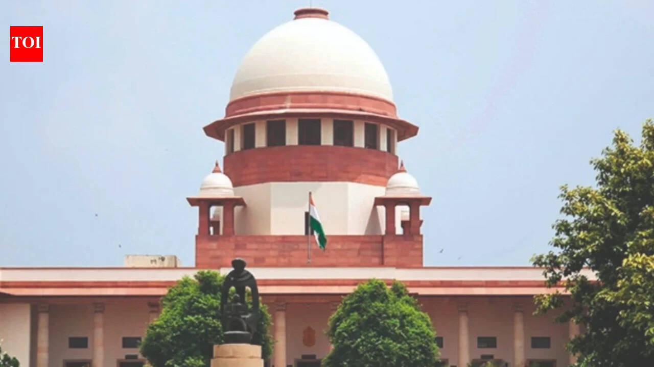 Yet to test legality of logical discrepancy in SIR: Supreme Court | India News