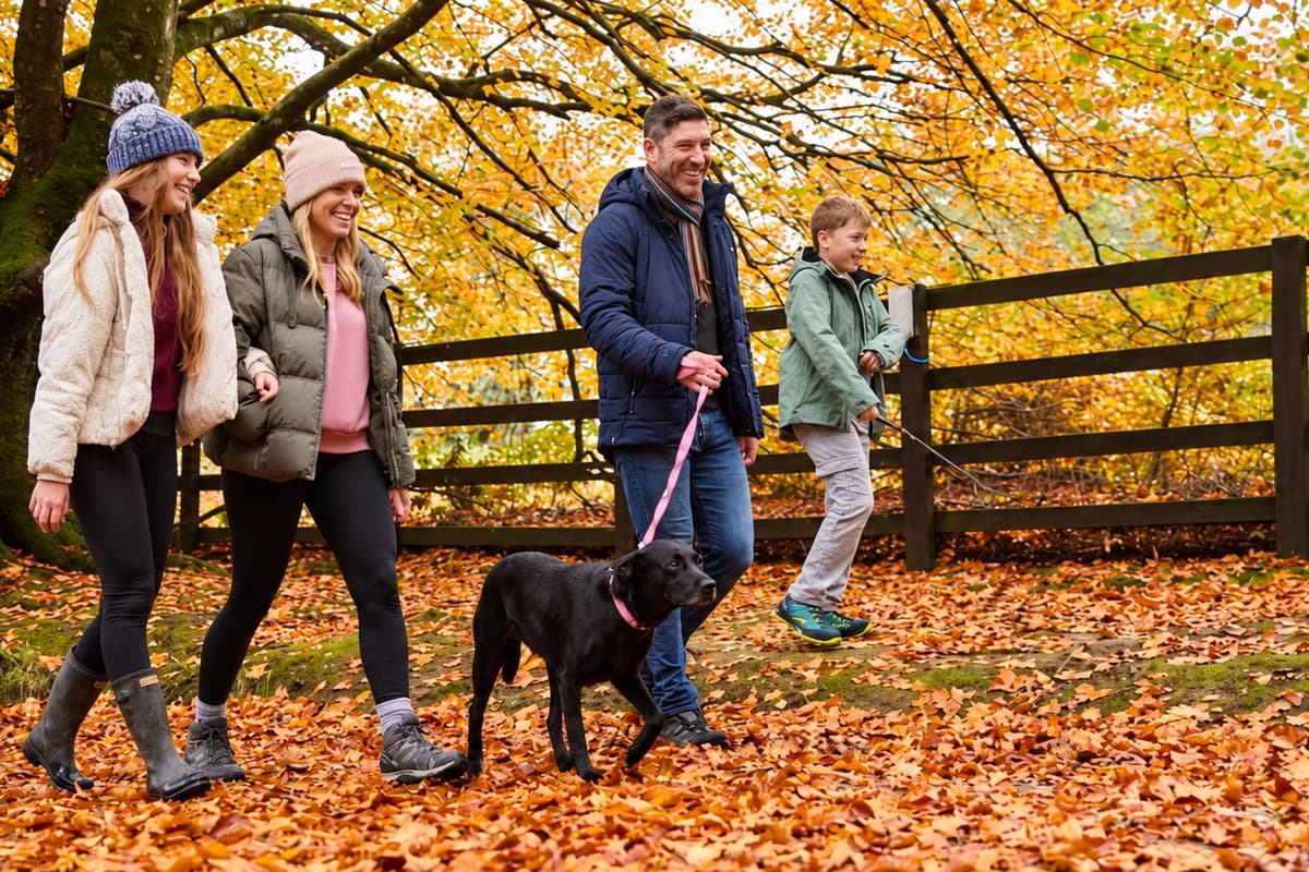 autumn breaks for up to six