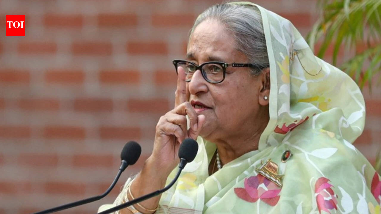 ‘I am not afraid’: Sheikh Hasina vows to return to Bangladesh in December