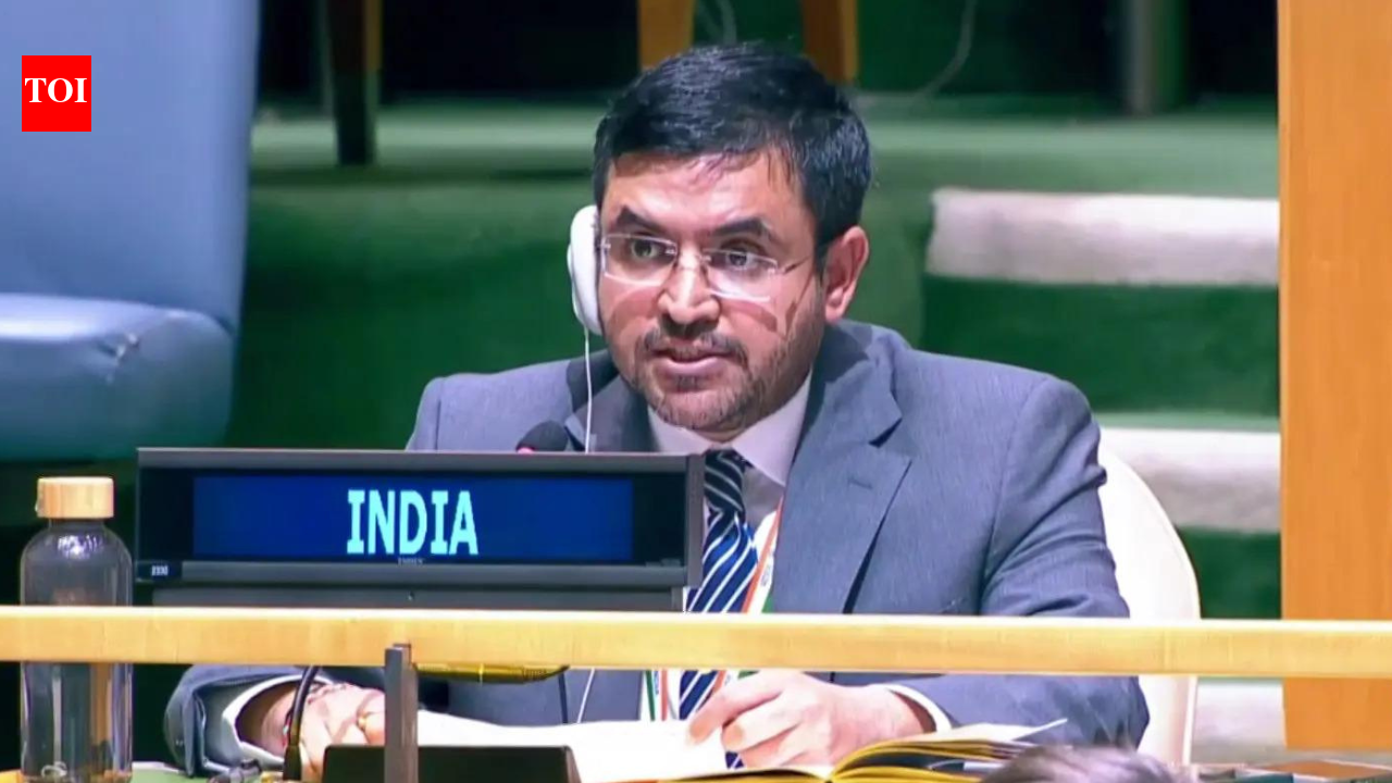 ‘Prioritise welfare over military directives’: India raps Pak on minority rights at UN | India News